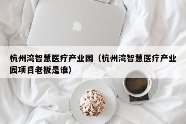 杭州湾智慧医疗产业园（杭州湾智慧医疗产业园项目老板是谁）