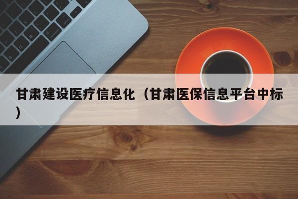 甘肃建设医疗信息化（甘肃医保信息平台中标）