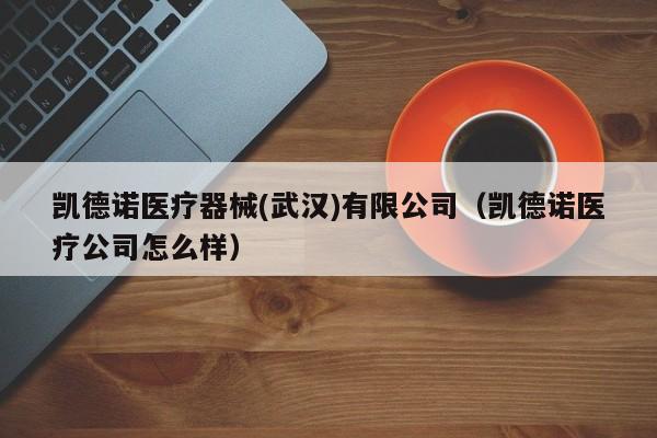 凯德诺医疗器械(武汉)有限公司（凯德诺医疗公司怎么样）